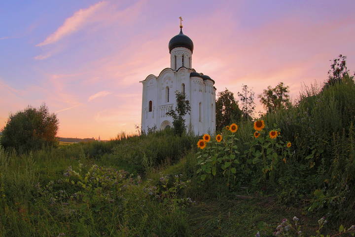 Покрова на Нерли,закат подсолнухи