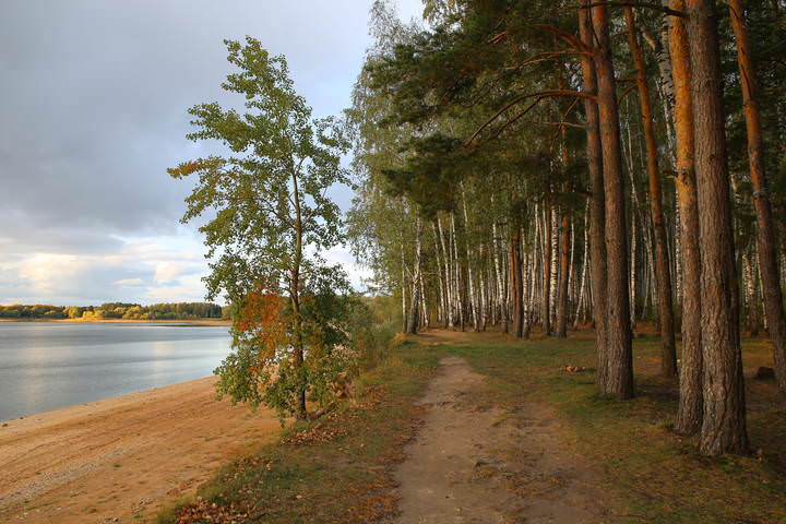  Осень
