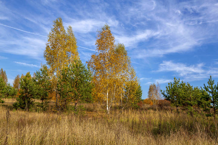осень
