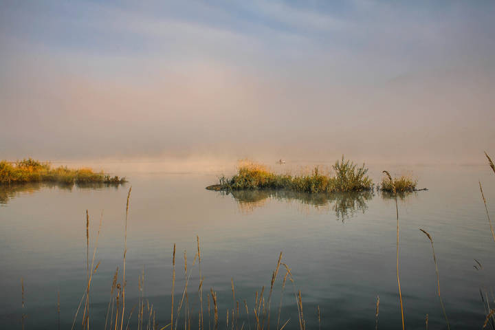 Лодка в тумане