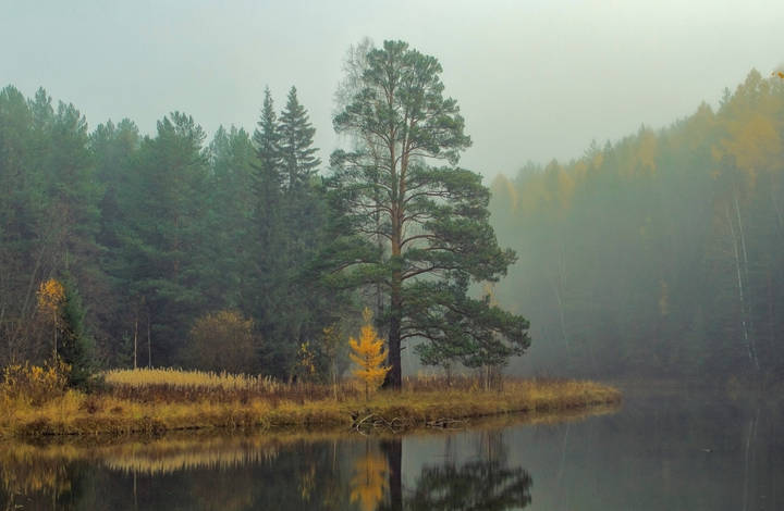 осенняя фоточка 3.0