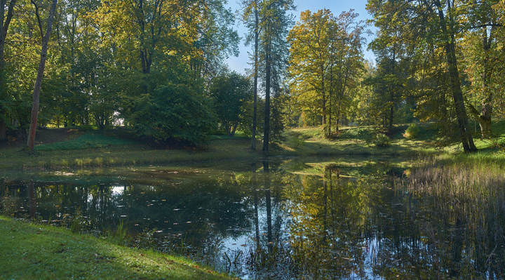 Тригорское, парк