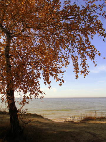 Осенний блюз.