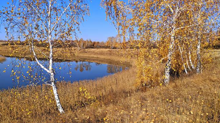 Осень