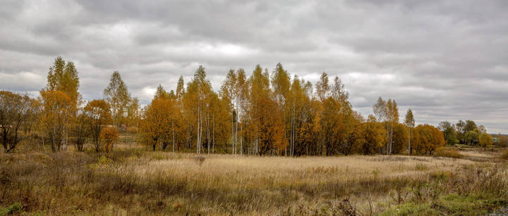 осень