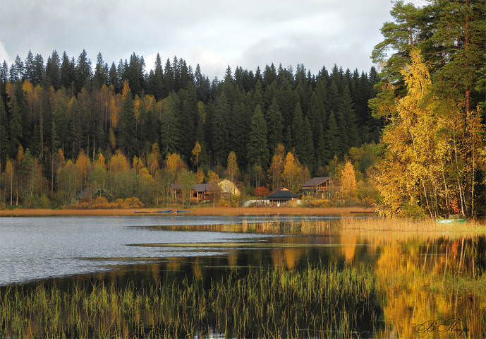 Краски осени