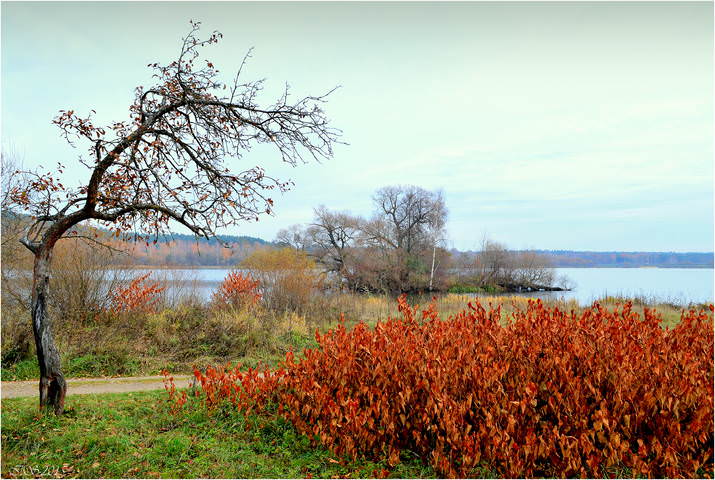 костёр-осень