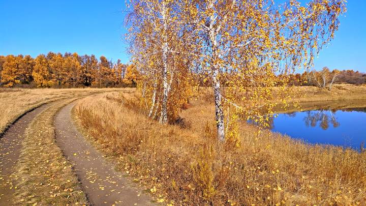 Осенняя дорога