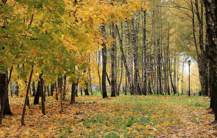 В осеннем наряде