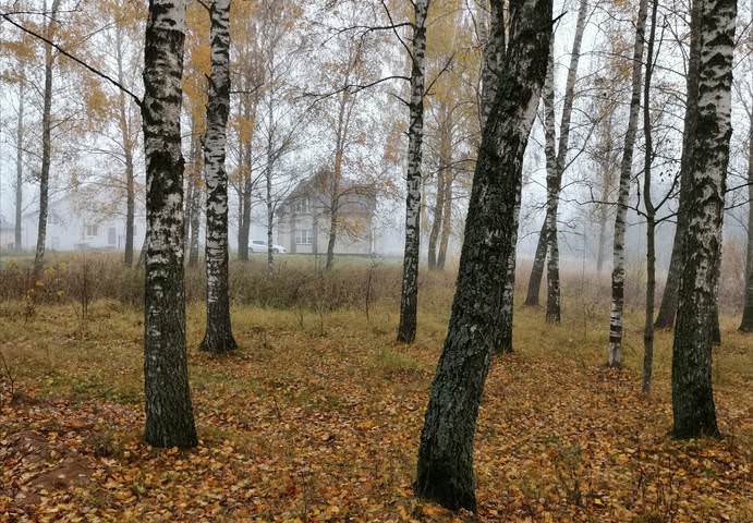 Домик за лесом