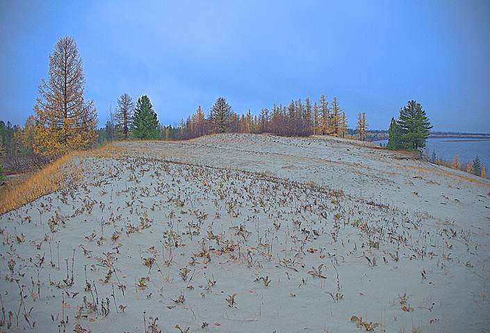 ОСЕННИЙ МОТИВ