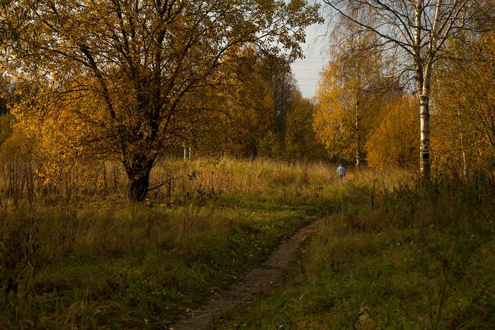 Осенней тропой