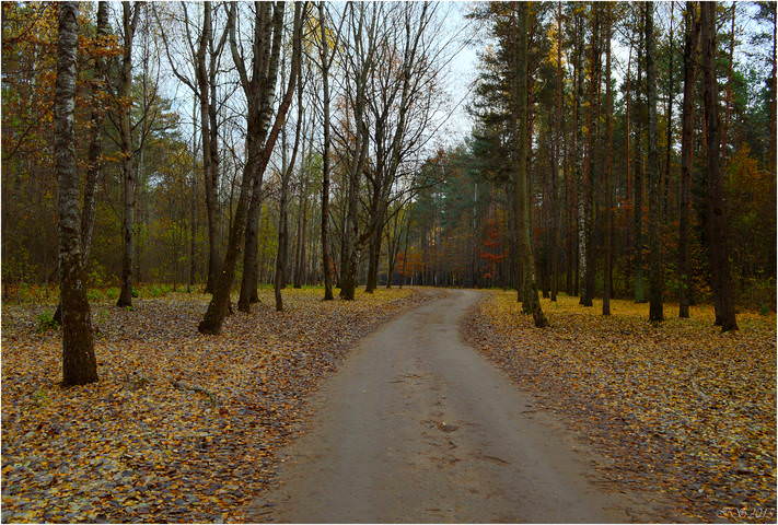 в осенних сумерках