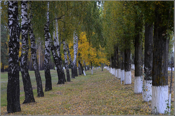 Аллея