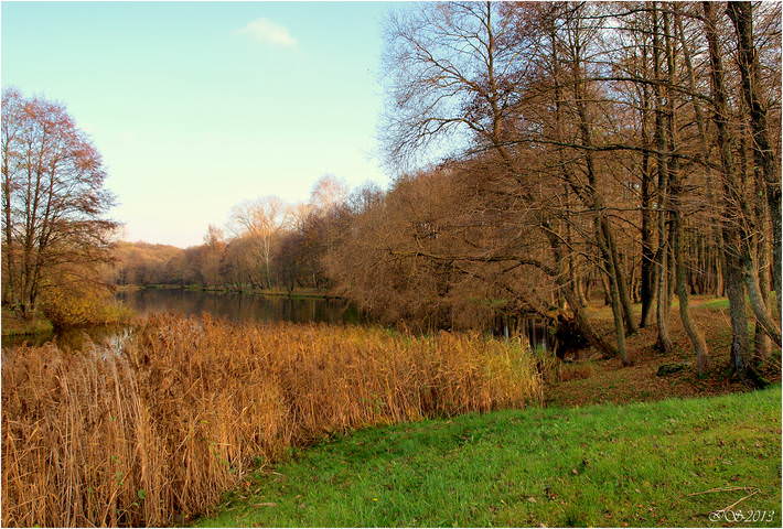 река Свислочь, осень