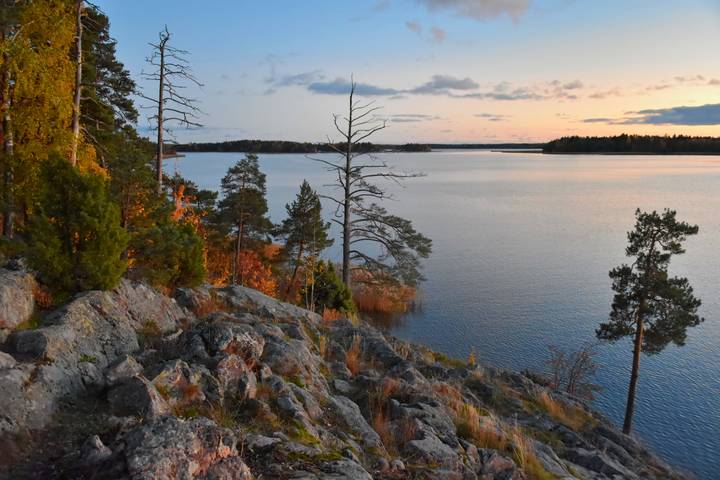 Осенняя прогулка 