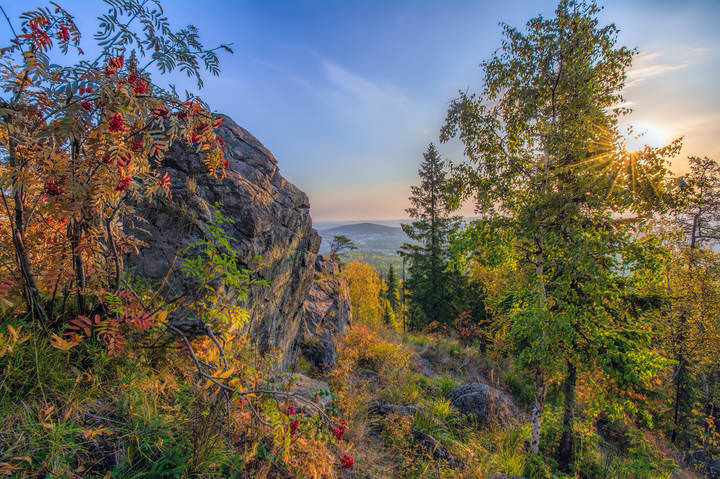 Осенняя палитра