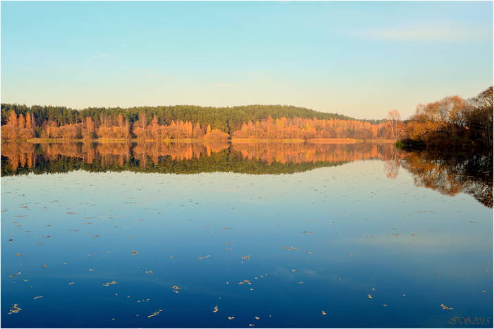 отражения осени