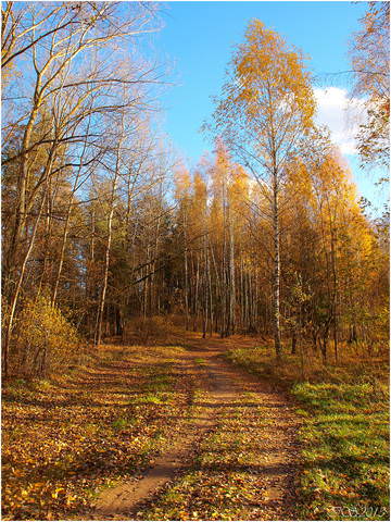 по дорогам осени ...**