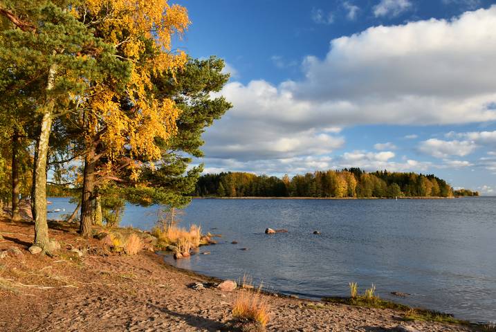 Осенний берег
