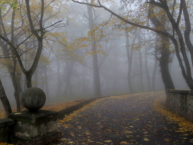 В парке туманном....