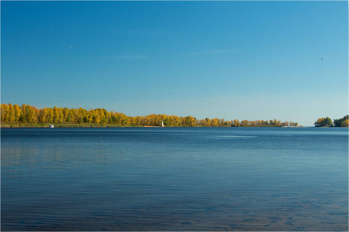 Парусник