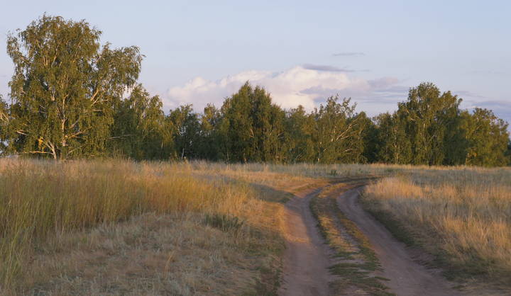Дорога.