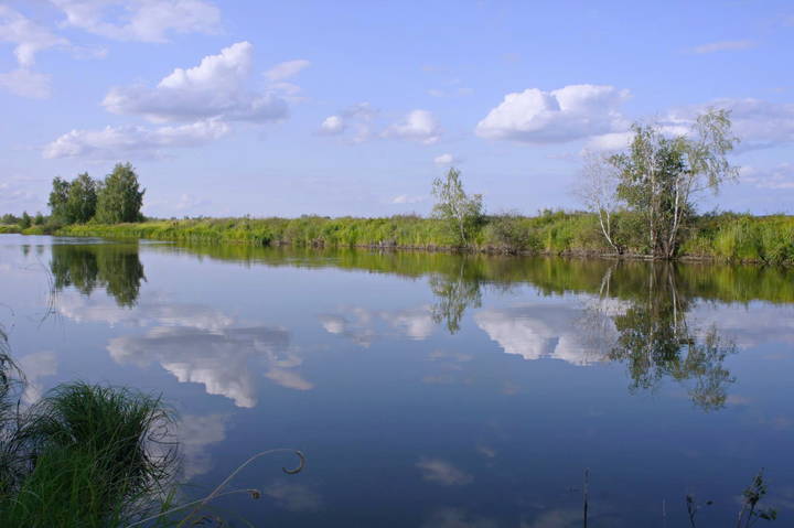 Купаются в речке облака.