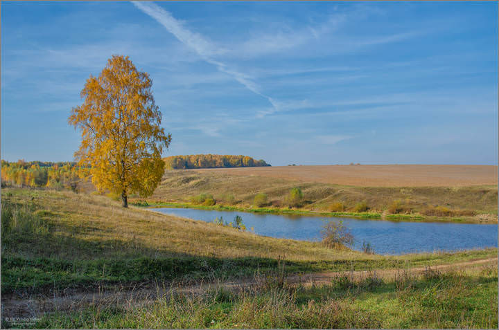 Свеча осени