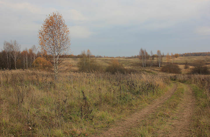 По дороге в деревню.
