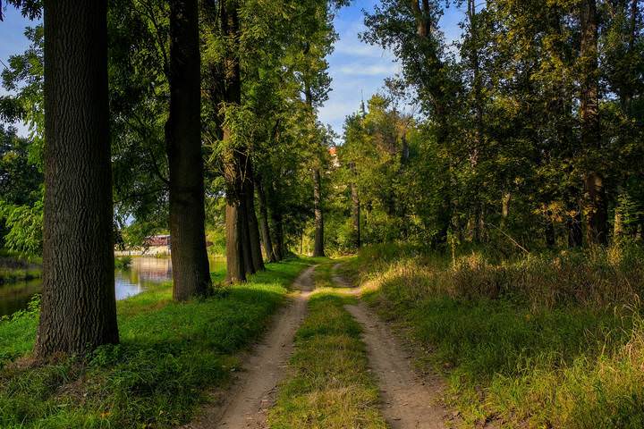 Сентябрь