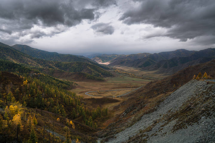 Купол