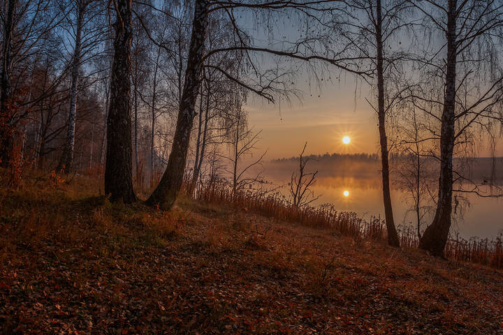 Осеннее утро
