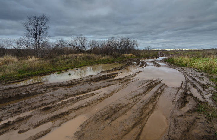 Дорогами осени