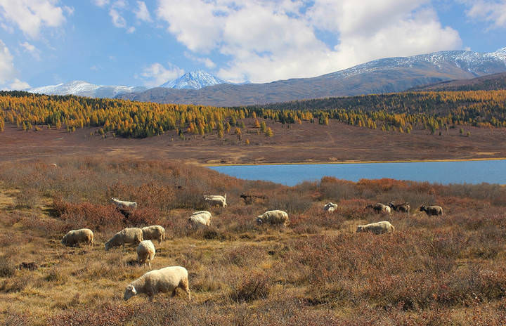 Улаганское нагорье
