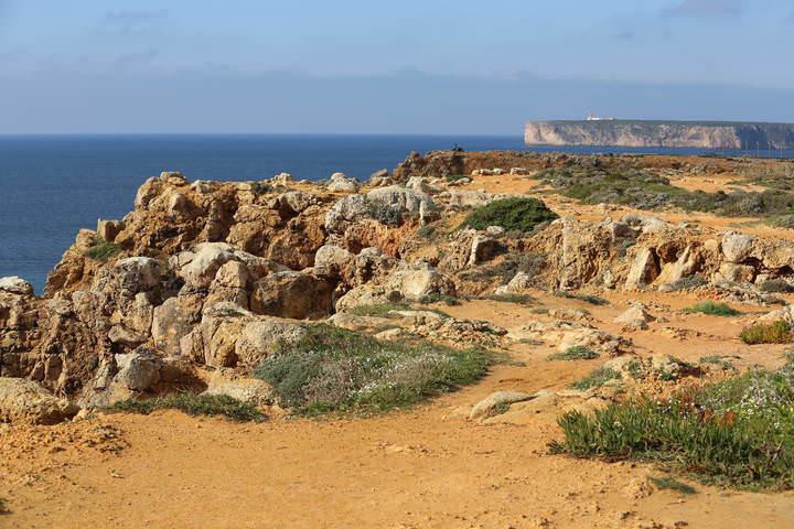 каменистое побережье океана