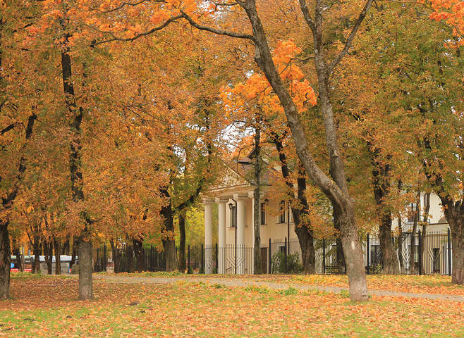 Осень в городе.