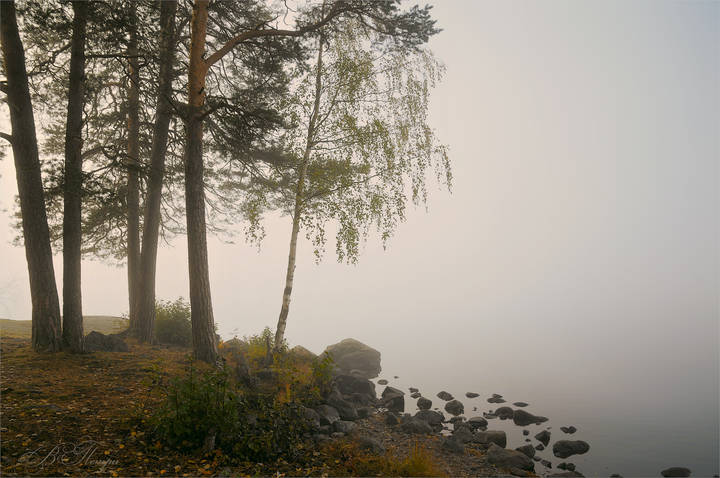 Осеннее утро