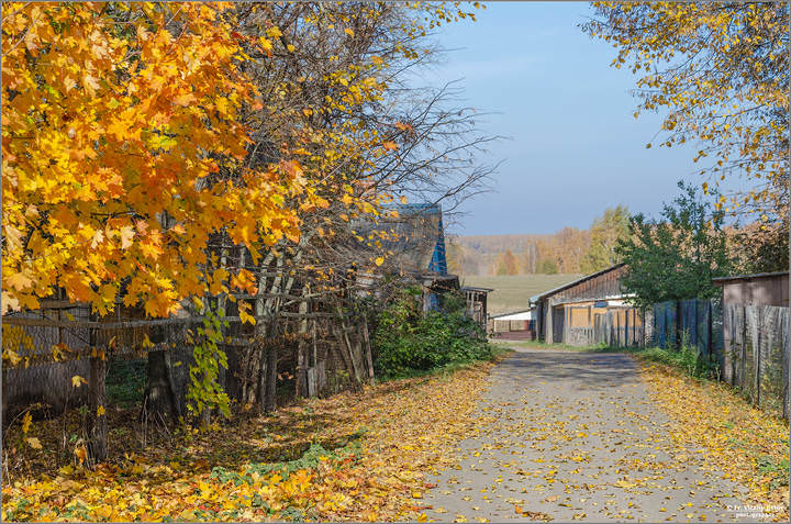 Теплая осень на деревенской улице