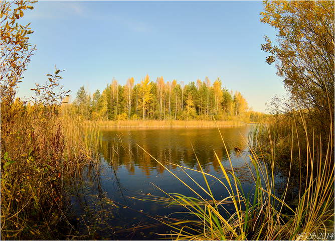 осеннее