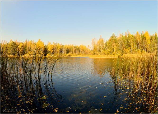 осеннее*
