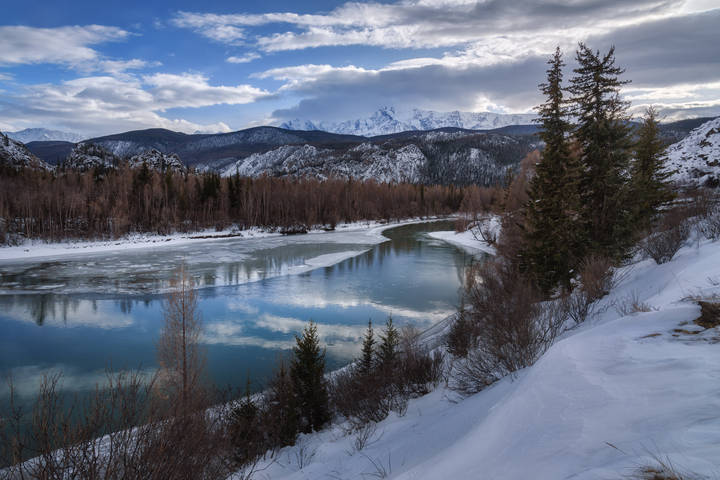 Чуя и Куркурек