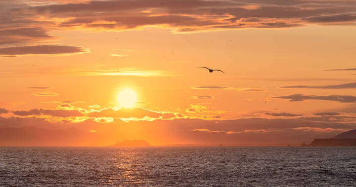 orange sunrise