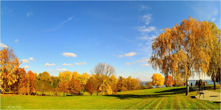 осенняя палитра