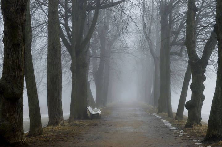 В тумане весеннем.........