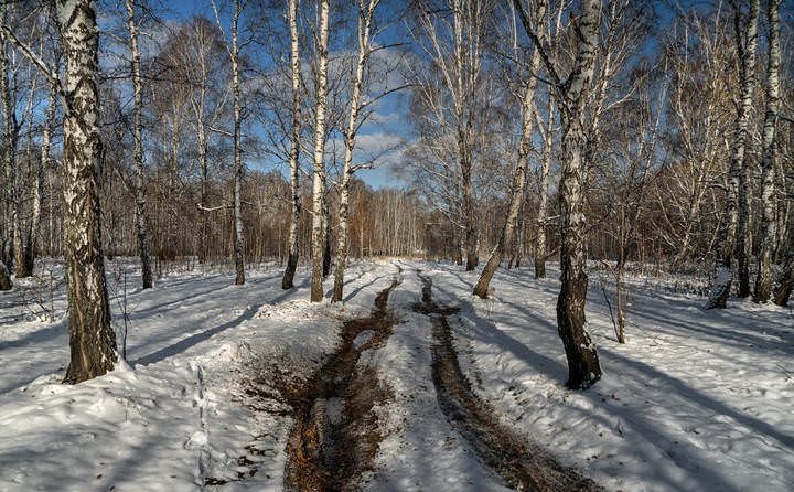 Зимний пейзаж (по мотивам произведений И. Грабаря)