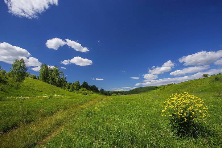 Летние облака