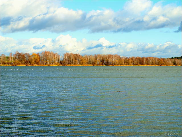 осенний горизонт