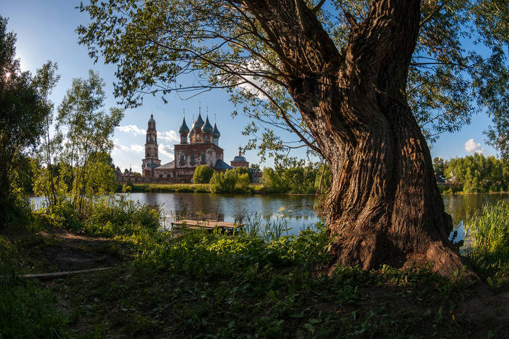 Храм и ива