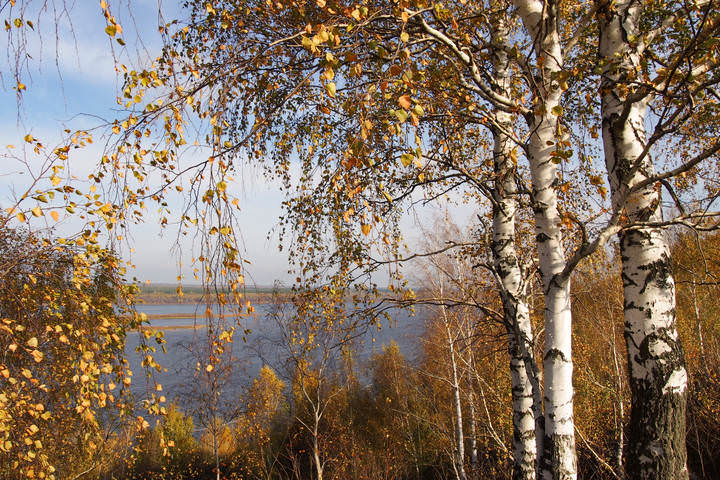 Осенняя печалька...